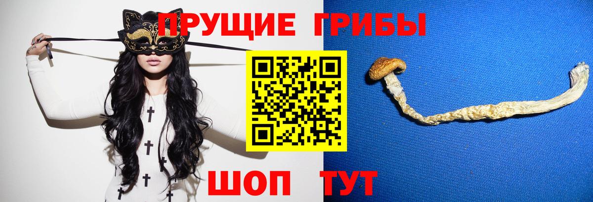 купить наркотик  Вход с VPN  Дедовск  Галлюциногенные грибы Psilocybine cubensis  Галлюциногенные грибы ЛСД 